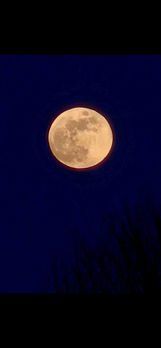 AdlessMozy's tweet photo. The moon is full and ready. Are you outside? The eclipse starts in mere hours!
#LunarEclipse 
#LunarEclipse2026 
#HouseofDanu 
#writerslife 
#SciFiAdventure https://t.co/XKlOO3ZCBs