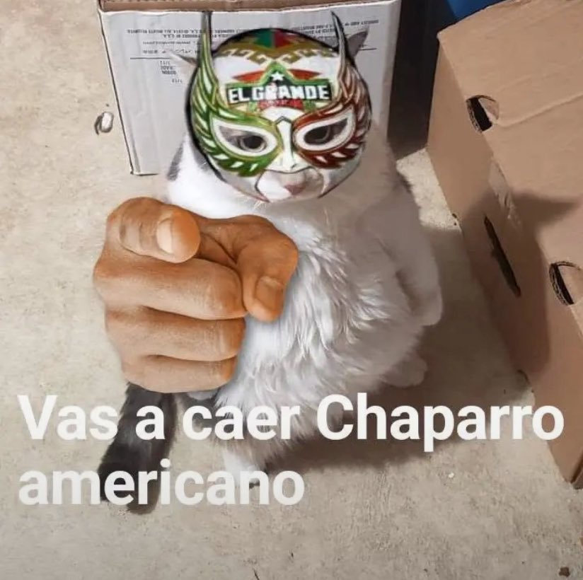 abraham664_v's tweet photo. @LuigiWrestling https://t.co/tm5sjtxYsL