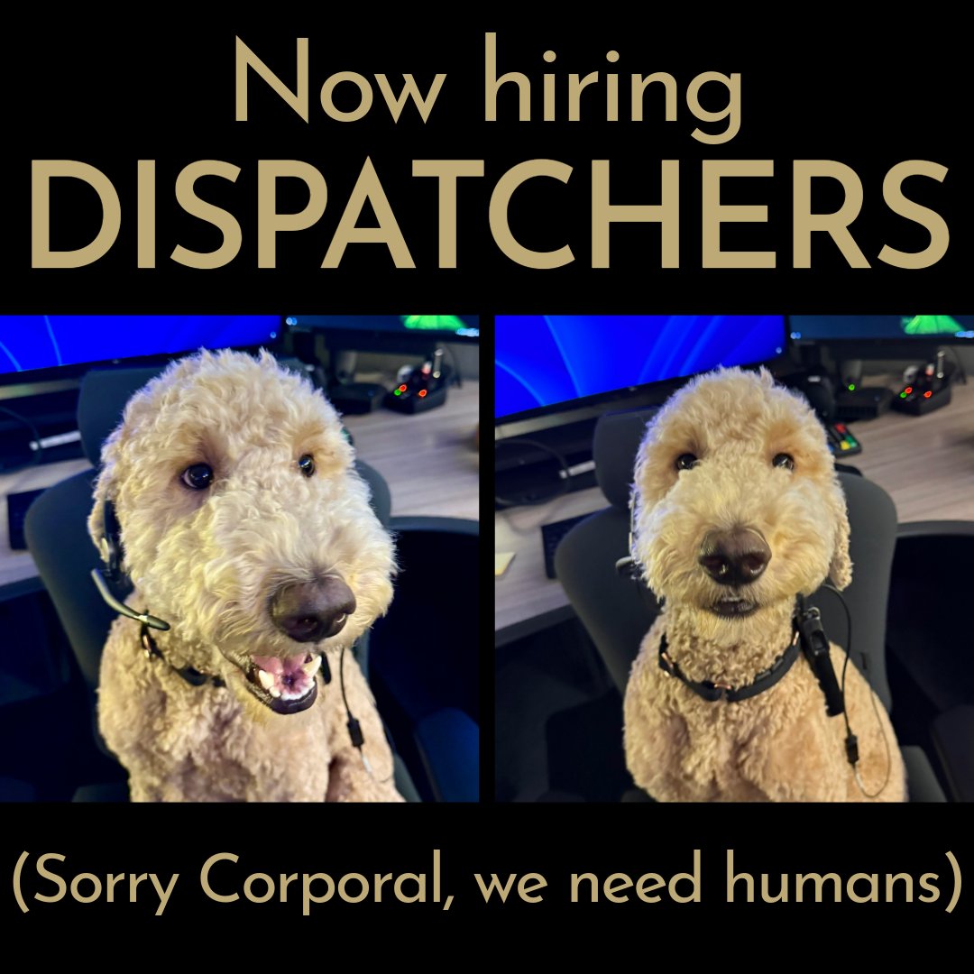 Lane County Sheriff's Office tweet media