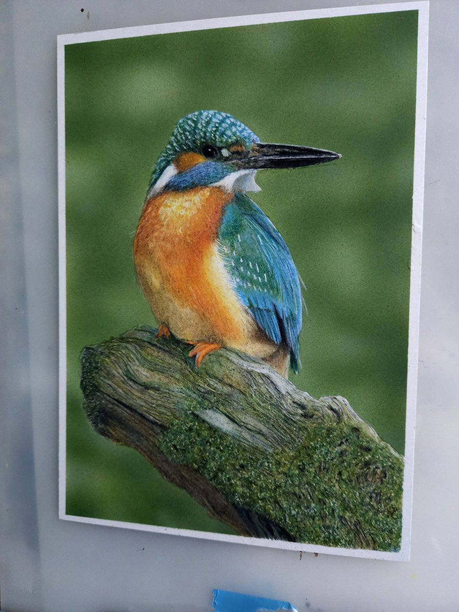 そんな感じの色鉛筆画 (@sonnakanjidesu) / Posts / X