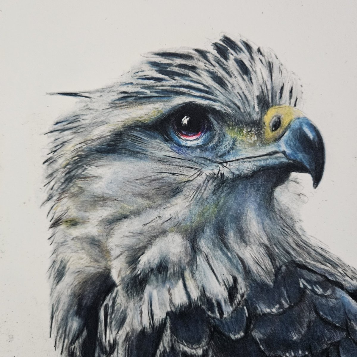 そんな感じの色鉛筆画 (@sonnakanjidesu) / Posts / X