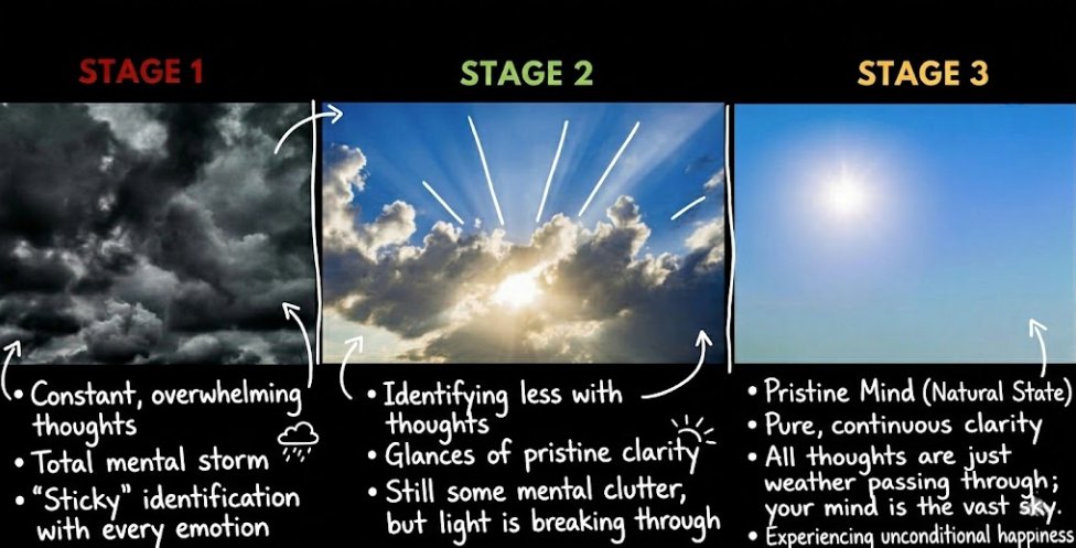 Leigh St.John | Zentrepreneur tweet media