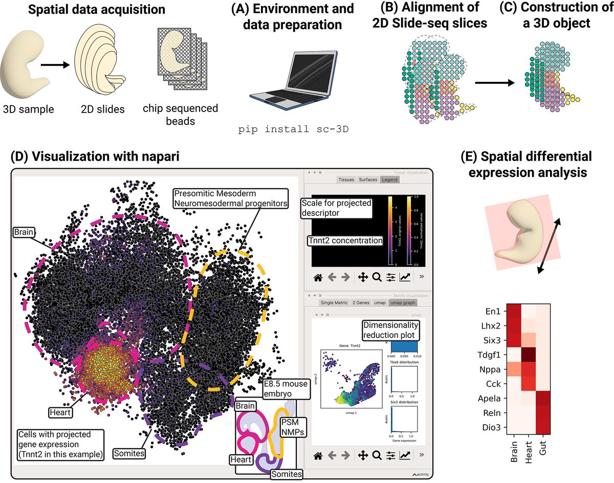 sc3D: A Comprehensive Tool for 3D Spatial Transcriptomic Analysis:https ...