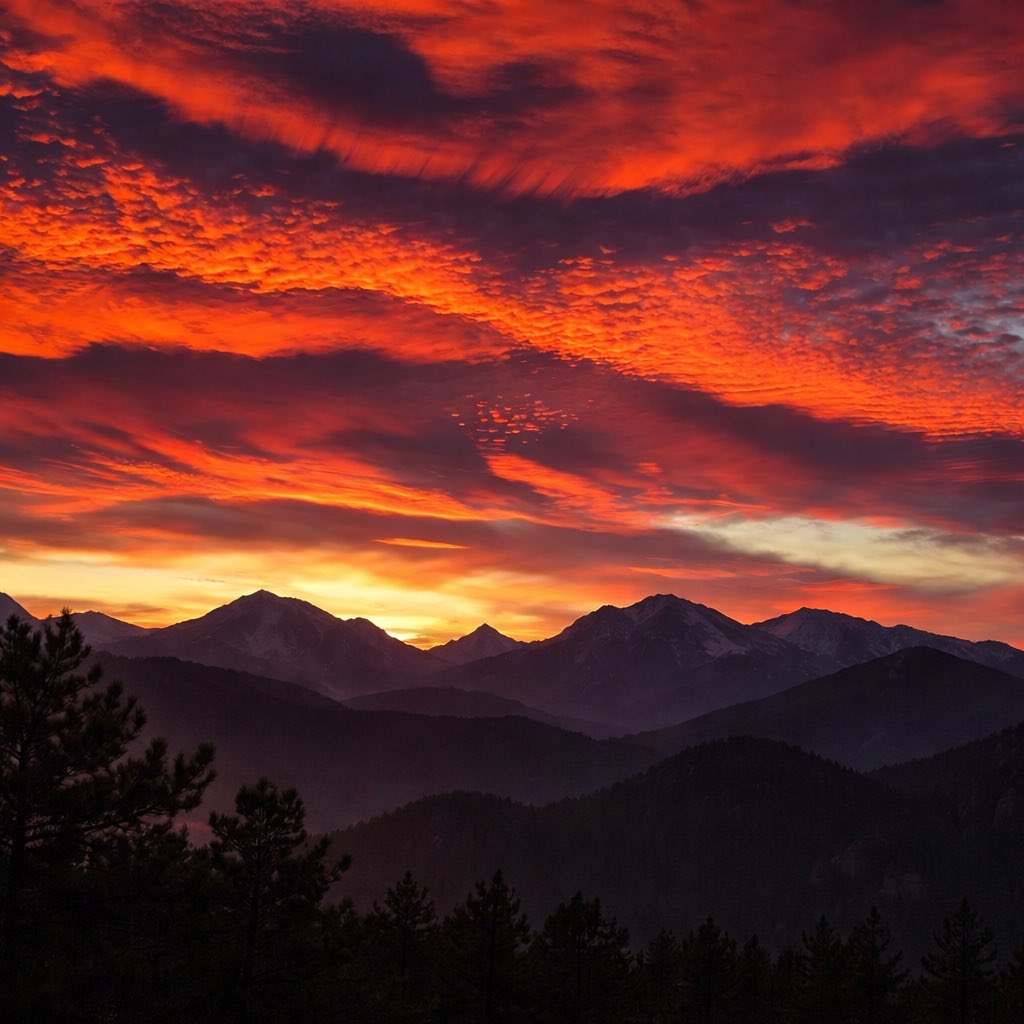 ᗩᘔᙀᒪ-320 tweet media