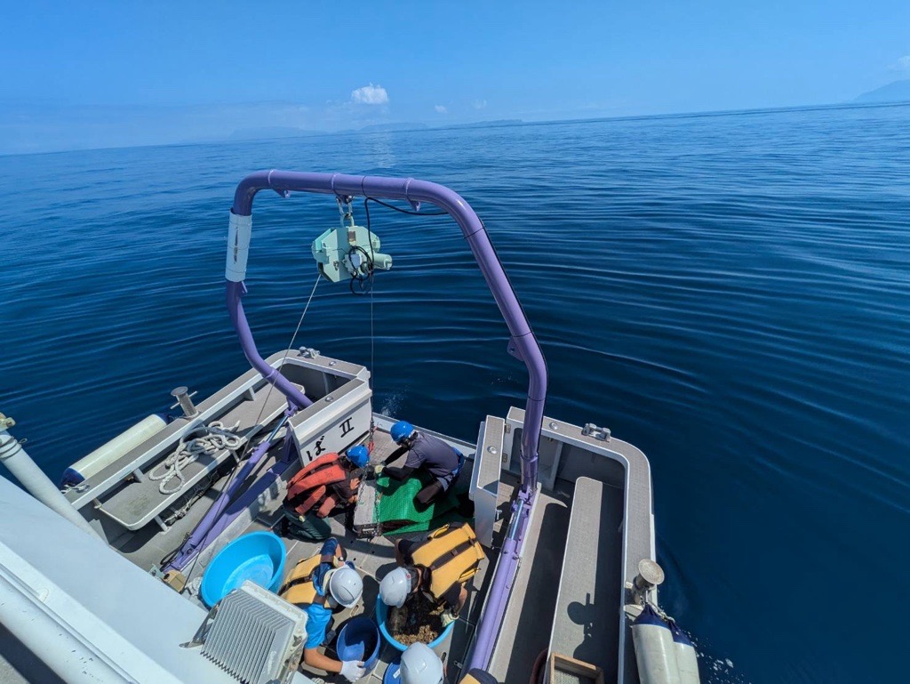 筑波大学下田臨海実験センター 公式アカウント tweet media