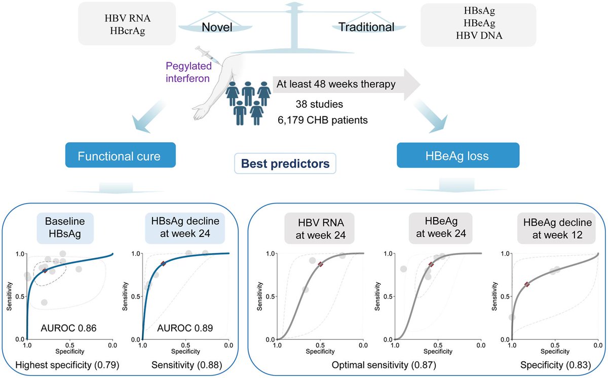 Xia & He Publishing tweet media
