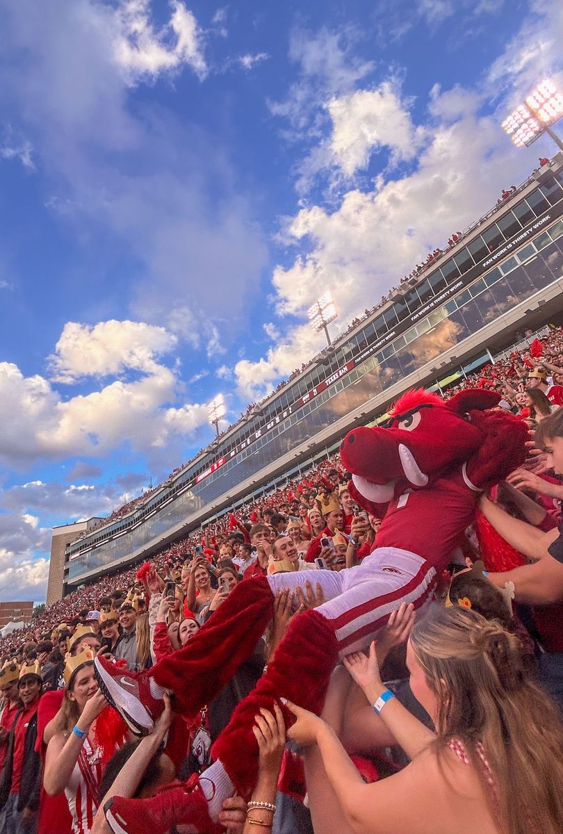 Samuel Nelson tweet media