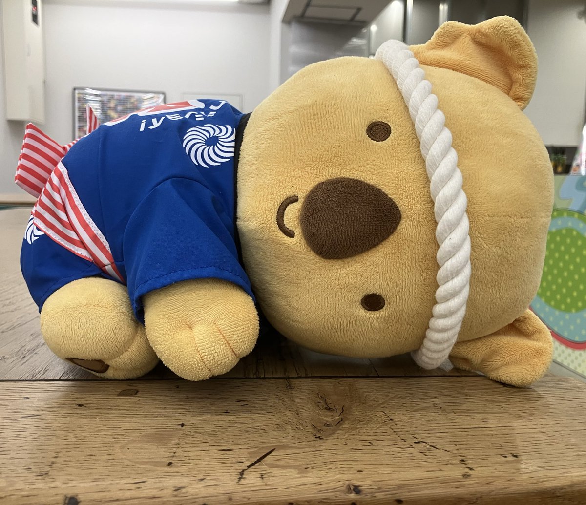 ﾎｯﾄﾋﾄｲｷ… #コアラの街