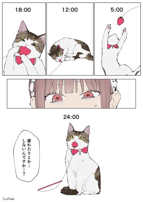脳内ステータスを遊びに全振りしてる猫 