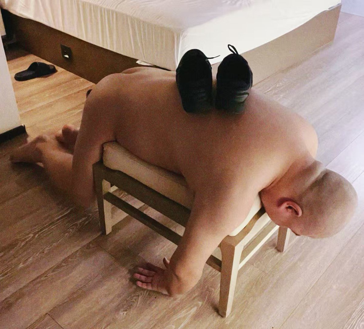 Stingbear tweet media