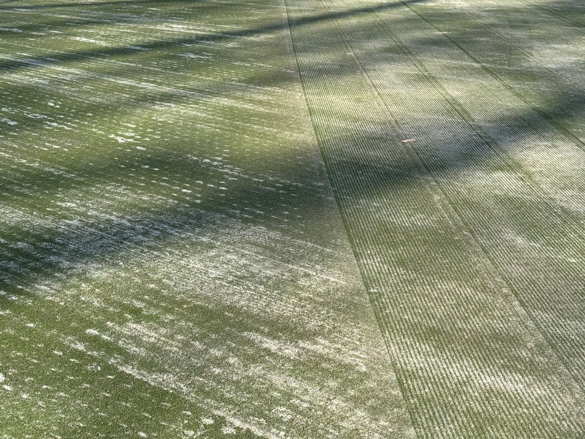 Joe Hollis tweet media