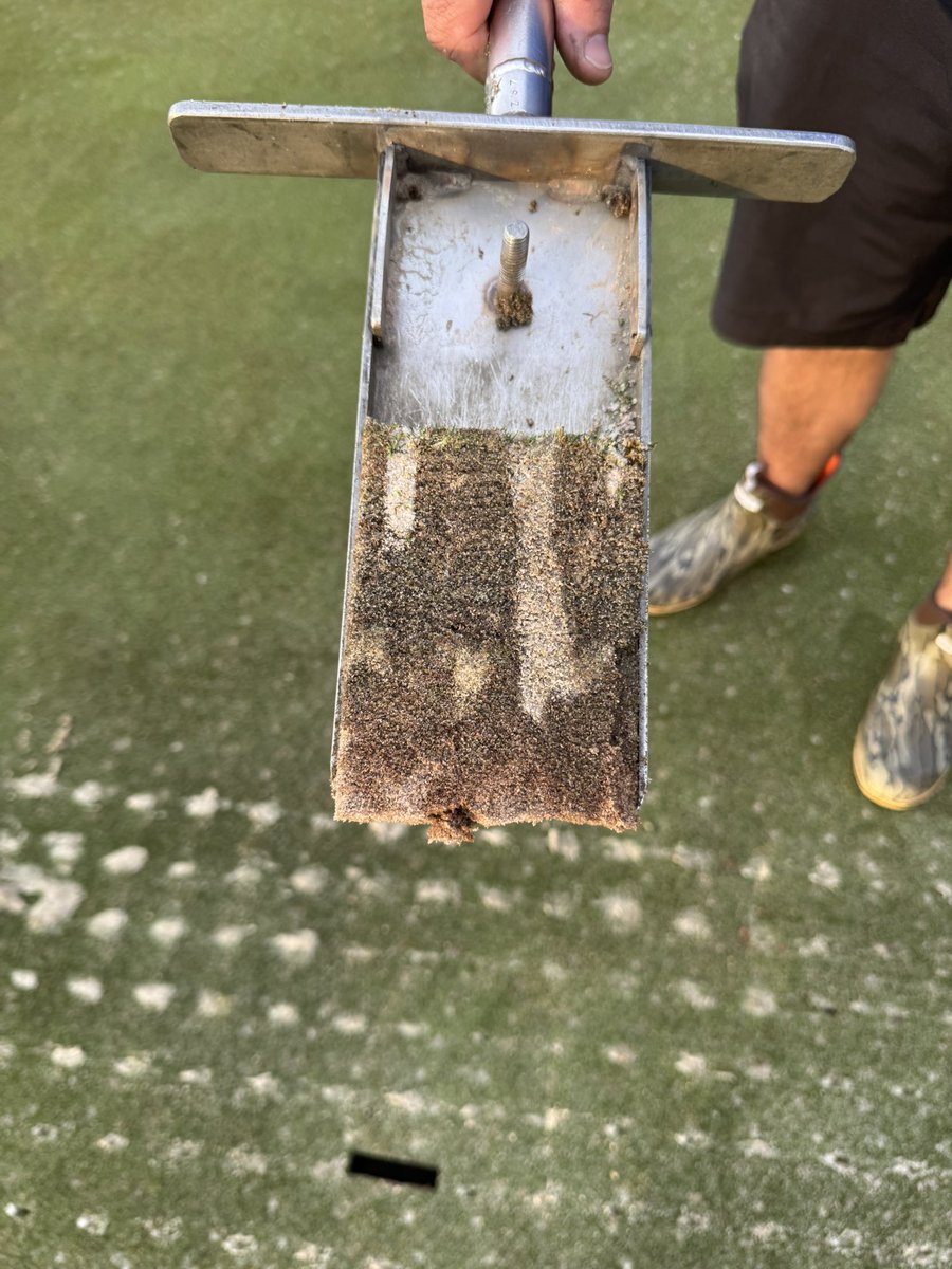 Joe Hollis tweet media