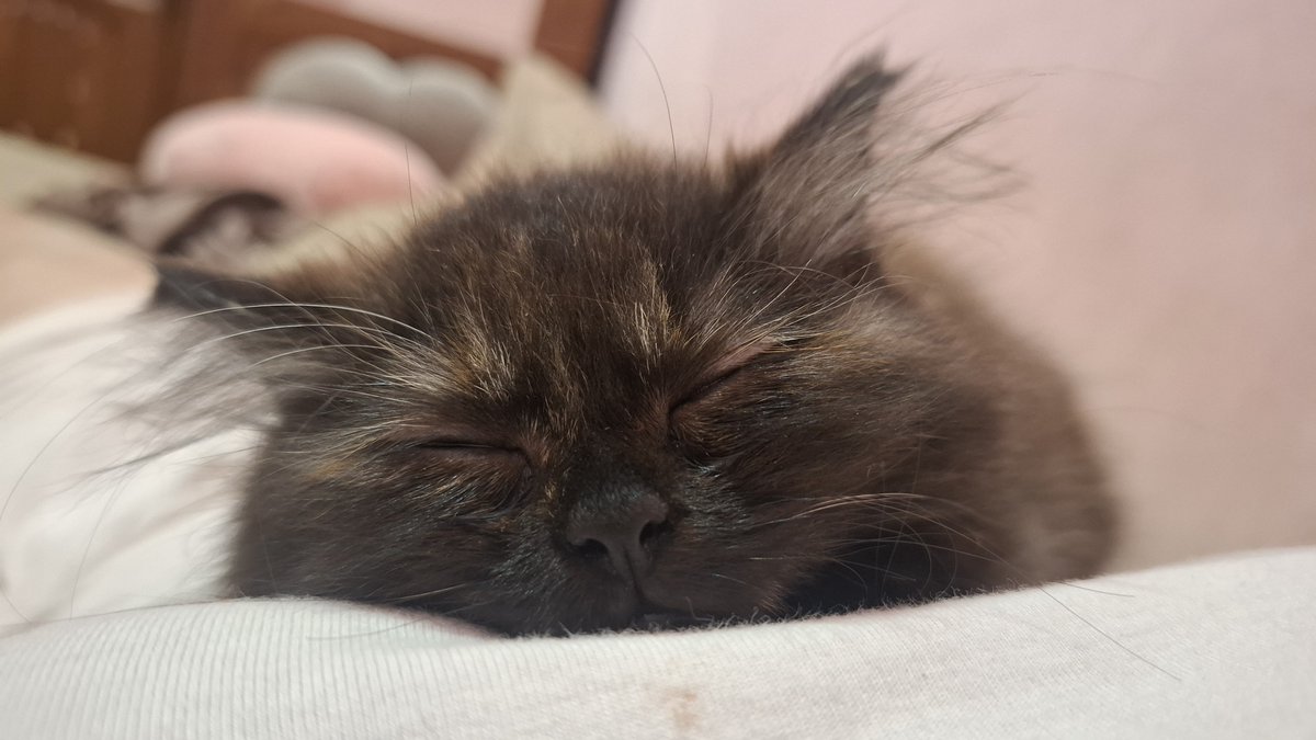 pinkyblooms tweet media