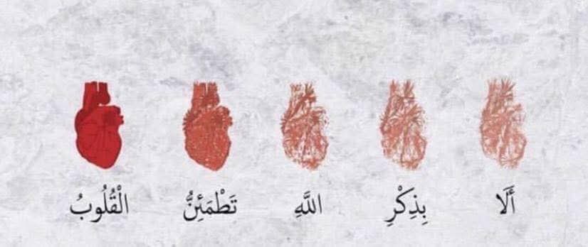 𝙈𝙚𝙢𝙤𝙣𝙖𝙝 𝙒𝙖𝙧𝙖𝙞𝙘𝙝 tweet media