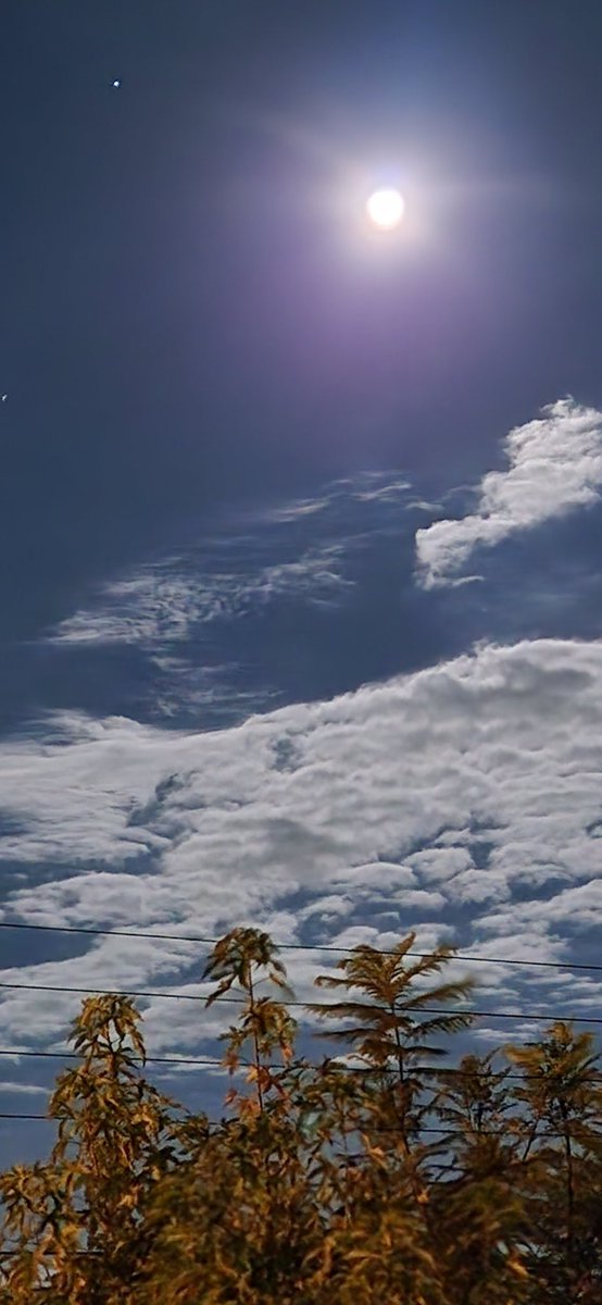 Gonzalo Codina 🇨🇱 tweet media