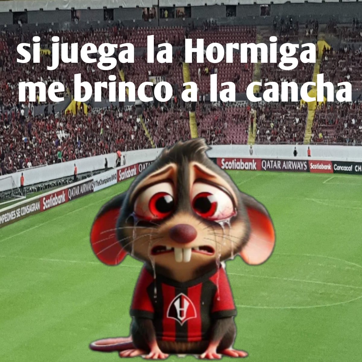 NO-ES-AMOR-ES-CHIVAS🐐🔴⚪💯 tweet media