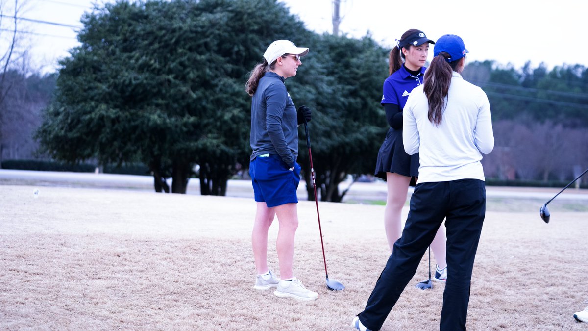 Samford Women's Golf tweet media