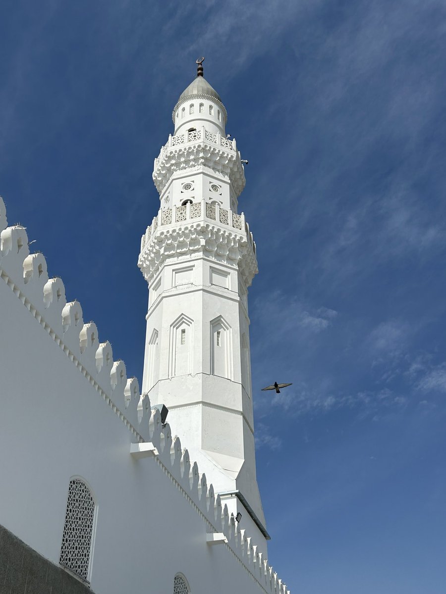 🇹🇳 tweet media