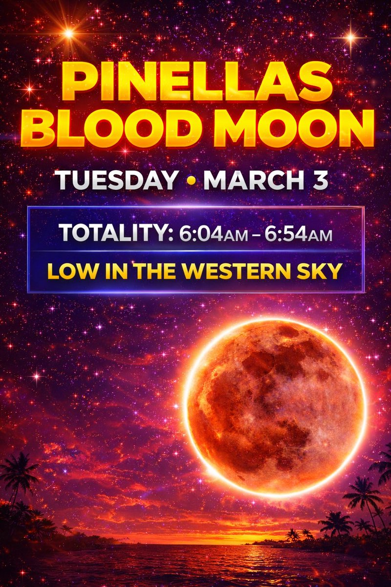 Pinellas Podcast tweet media