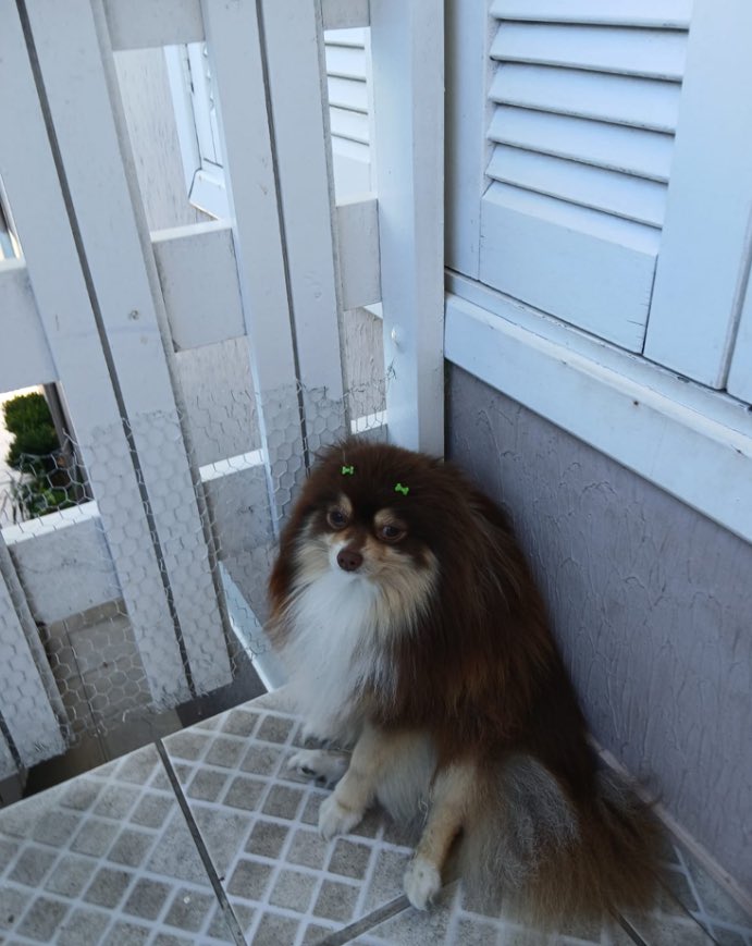 Ricciery_Klein's tweet photo. Arrasado por não conseguir fugir https://t.co/wNYkaPAKrM