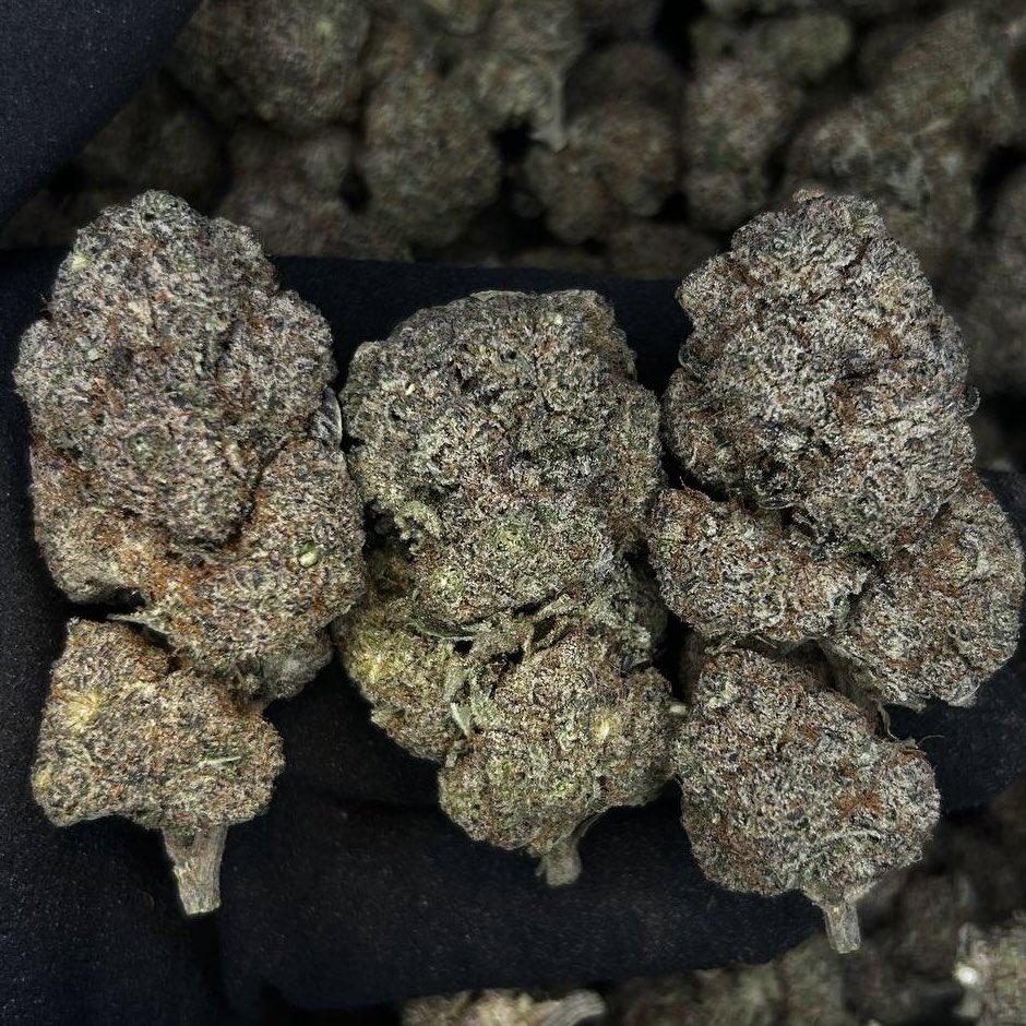 Silent Deal tweet media