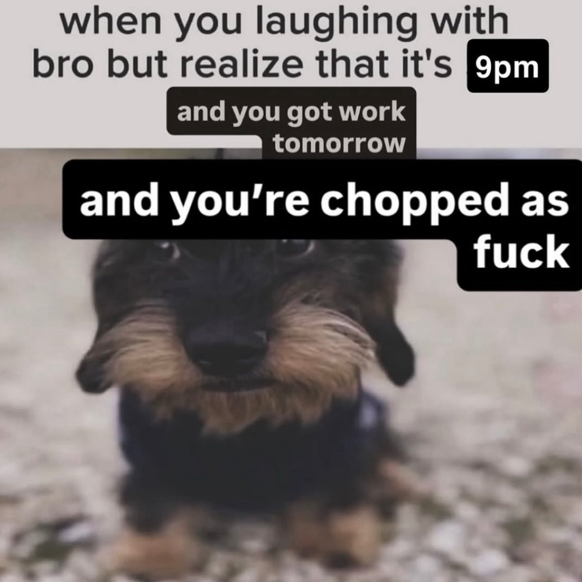 bloutgoggles (@bloutgoggles) on Twitter photo 