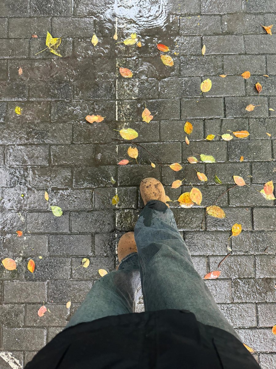 ElectricVibes_'s tweet photo. 出かけた途端に深い水たまりを踏んでしまった.... https://t.co/xbEhlKYUys
