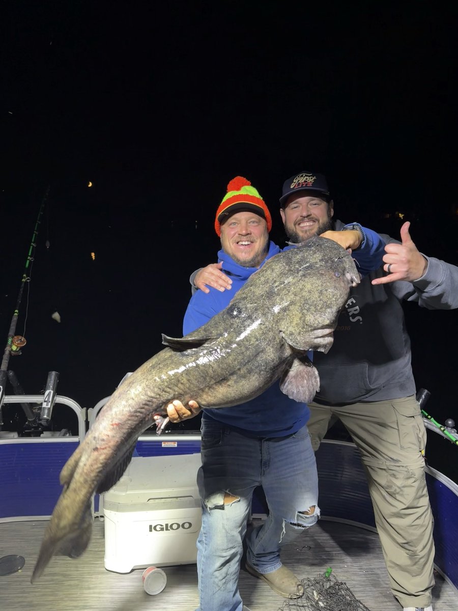 gcfishco's tweet photo. Congratulations to our good friend and client Eric on his master angler award from the Michigan DNR. Eric battled this monster flathead with us this summer ranking in the top 10 flatheads recorded in Michigan. Great job man! https://t.co/T4RUq1S4i3
