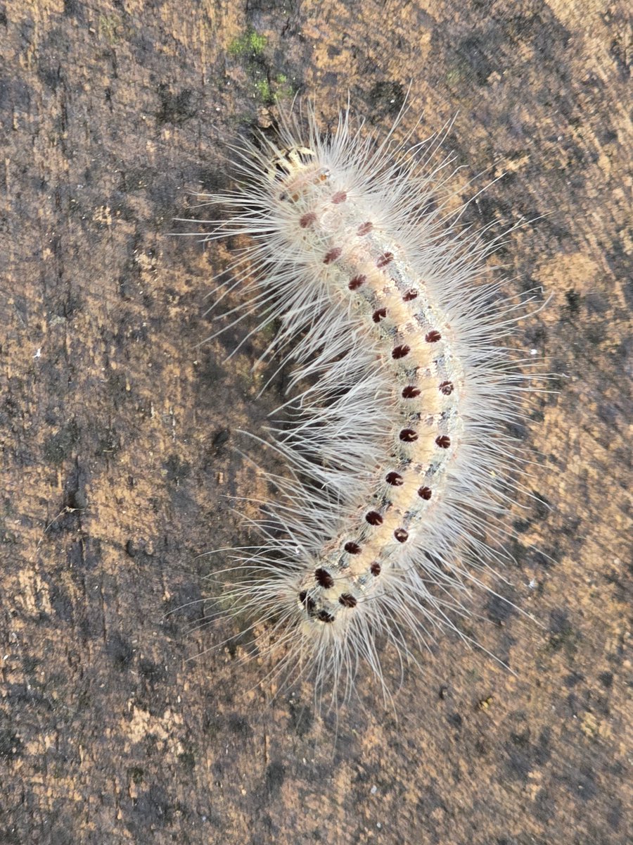 RDx 📸🇮🇳 tweet media