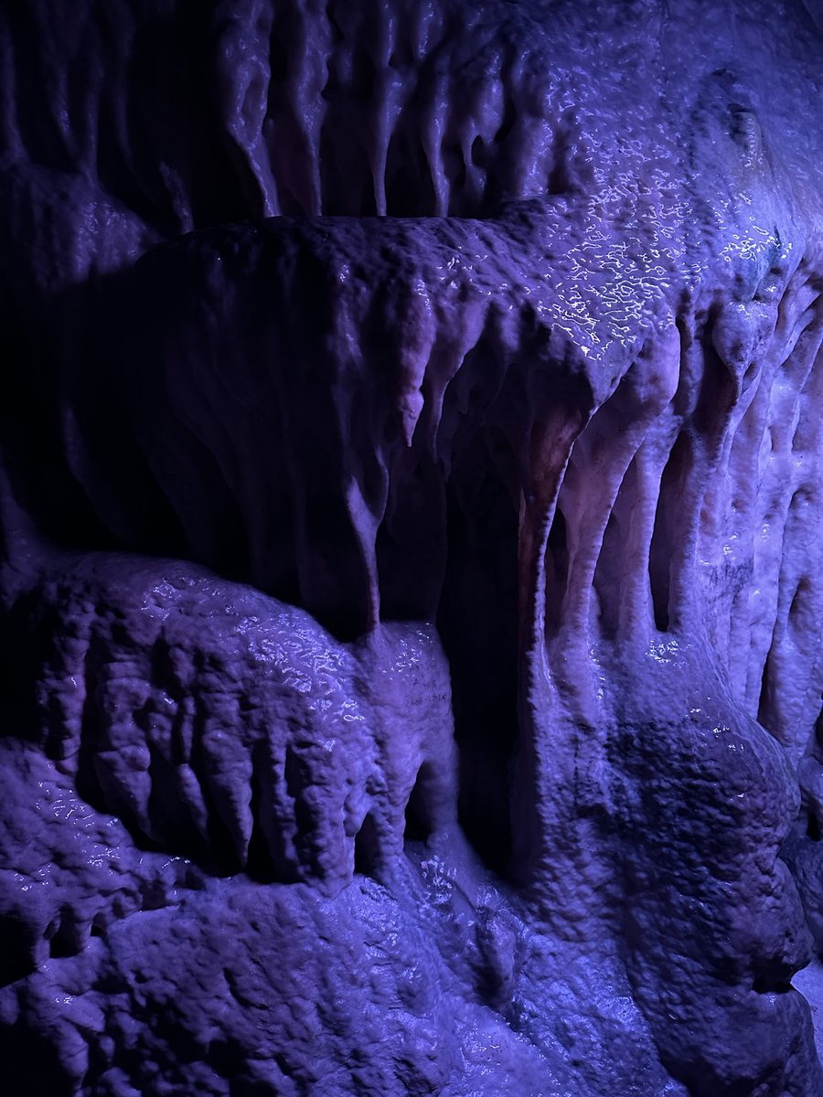 636f6c646464's tweet photo. postojna cave #myimage https://t.co/Xi5IVTYuGJ