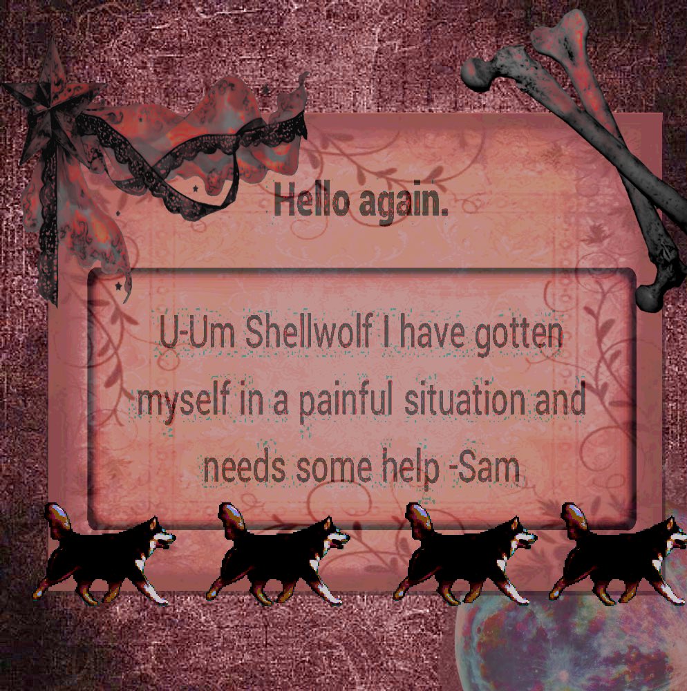 🩶🐾shellwolf🐾🩶 tweet media