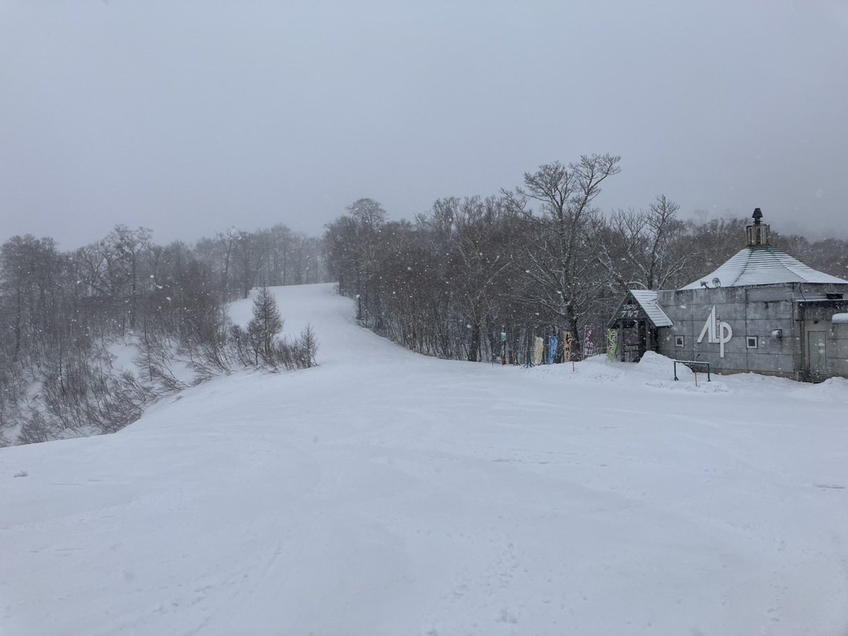 ozeiwakura_2011's tweet photo. 現在のゲレンデ状況

雪です、雪ですよ〜！

天気は雪で風はなく 気温は低め。

朝からの雨が雪に変わったので 整地斜面は硬く締まったベースの上に湿った新雪が1〜2cm乗った状態で 板はまずまず滑ります。

非圧雪部も同様に 湿った新雪が���センチ乗った不整地となっています。

木っ葉で部分的に汚れていた雪面も今日の新雪でかなりリセットされそうです。

今後も天気予報では雪予報になっているので 久しぶりの積雪に期待しちゃうなぁ〜

まだまだゲレンデにはドカ雪カモーン‼️ ⛄️