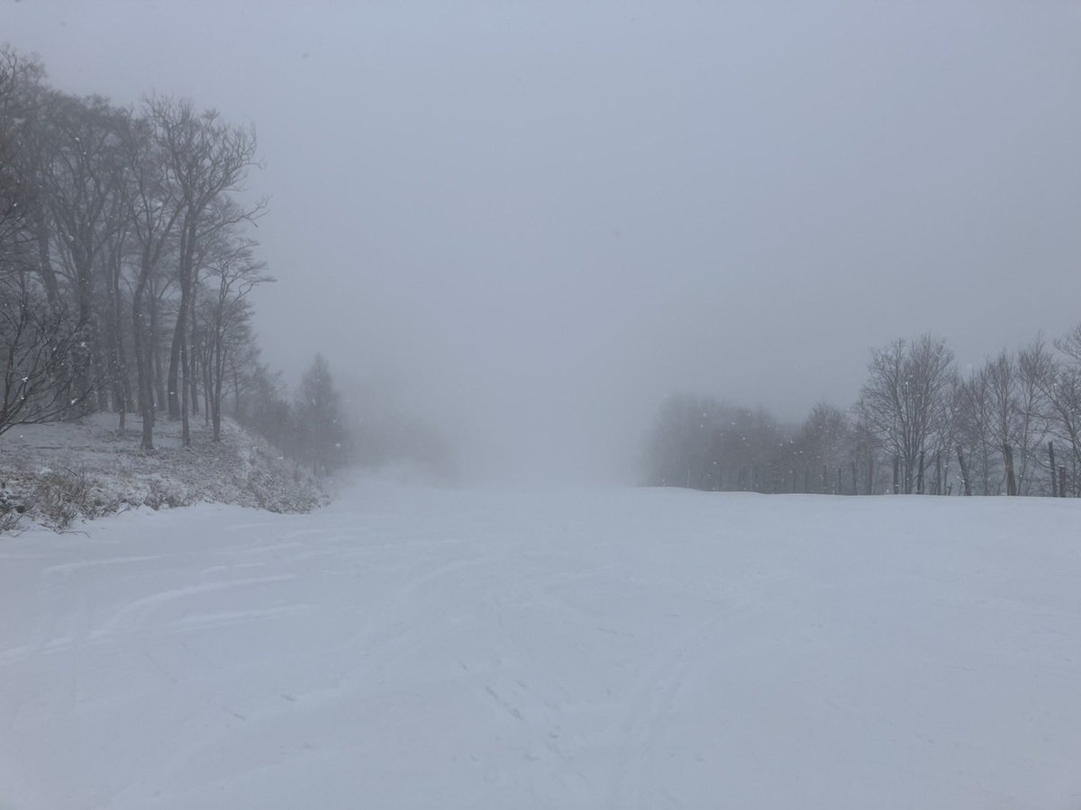 ozeiwakura_2011's tweet photo. 現在のゲレンデ状況

雪です、雪ですよ〜！

天気は雪で風はなく 気温は低め。

朝からの雨が雪に変わったので 整地斜面は硬く締まったベースの上に湿った新雪が1〜2cm乗った状態で 板はまずまず滑ります。

非圧雪部も同様に 湿った新雪が���センチ乗った不整地となっています。

木っ葉で部分的に汚れていた雪面も今日の新雪でかなりリセットされそうです。

今後も天気予報では雪予報になっているので 久しぶりの積雪に期待しちゃうなぁ〜

まだまだゲレンデにはドカ雪カモーン‼️ ⛄️
