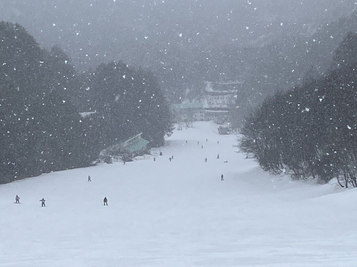 ozeiwakura_2011's tweet photo. 現在のゲレンデ状況

雪です、雪ですよ〜！

天気は雪で風はなく 気温は低め。

朝からの雨が雪に変わったので 整地斜面は硬く締まったベースの上に湿った新雪が1〜2cm乗った状態で 板はまずまず滑ります。

非圧雪部も同様に 湿った新雪が���センチ乗った不整地となっています。

木っ葉で部分的に汚れていた雪面も今日の新雪でかなりリセットされそうです。

今後も天気予報では雪予報になっているので 久しぶりの積雪に期待しちゃうなぁ〜

まだまだゲレンデにはドカ雪カモーン‼️ ⛄️