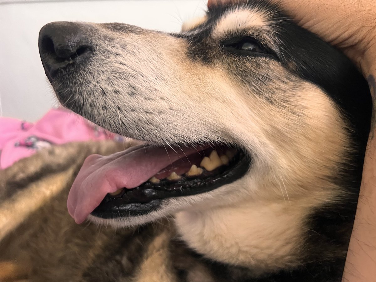 Youknowwazgood tweet media