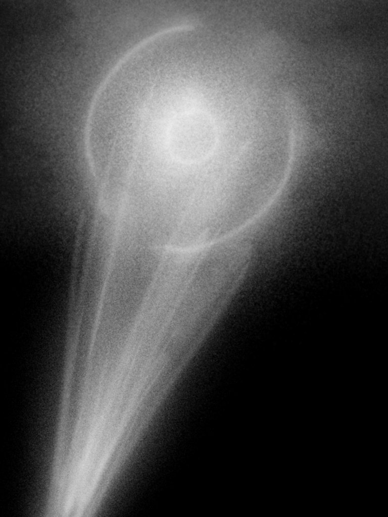 🐝🦠m.paracito (hago comisiones ✨)🦠🐝 tweet media