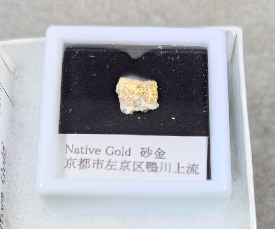 第10回なごや石ﾌｪｽ こんなの持っていくよ標本 自然金(砂金) 京都市鴨川