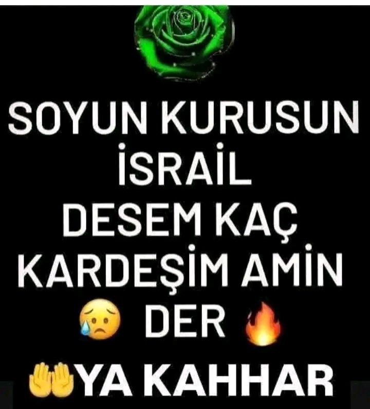 Meşküre Aydemir tweet media