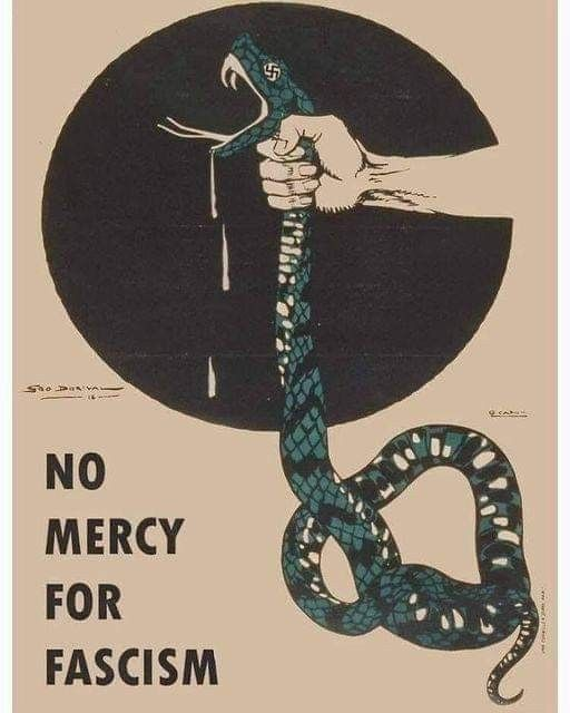 taz 🌱 tweet media