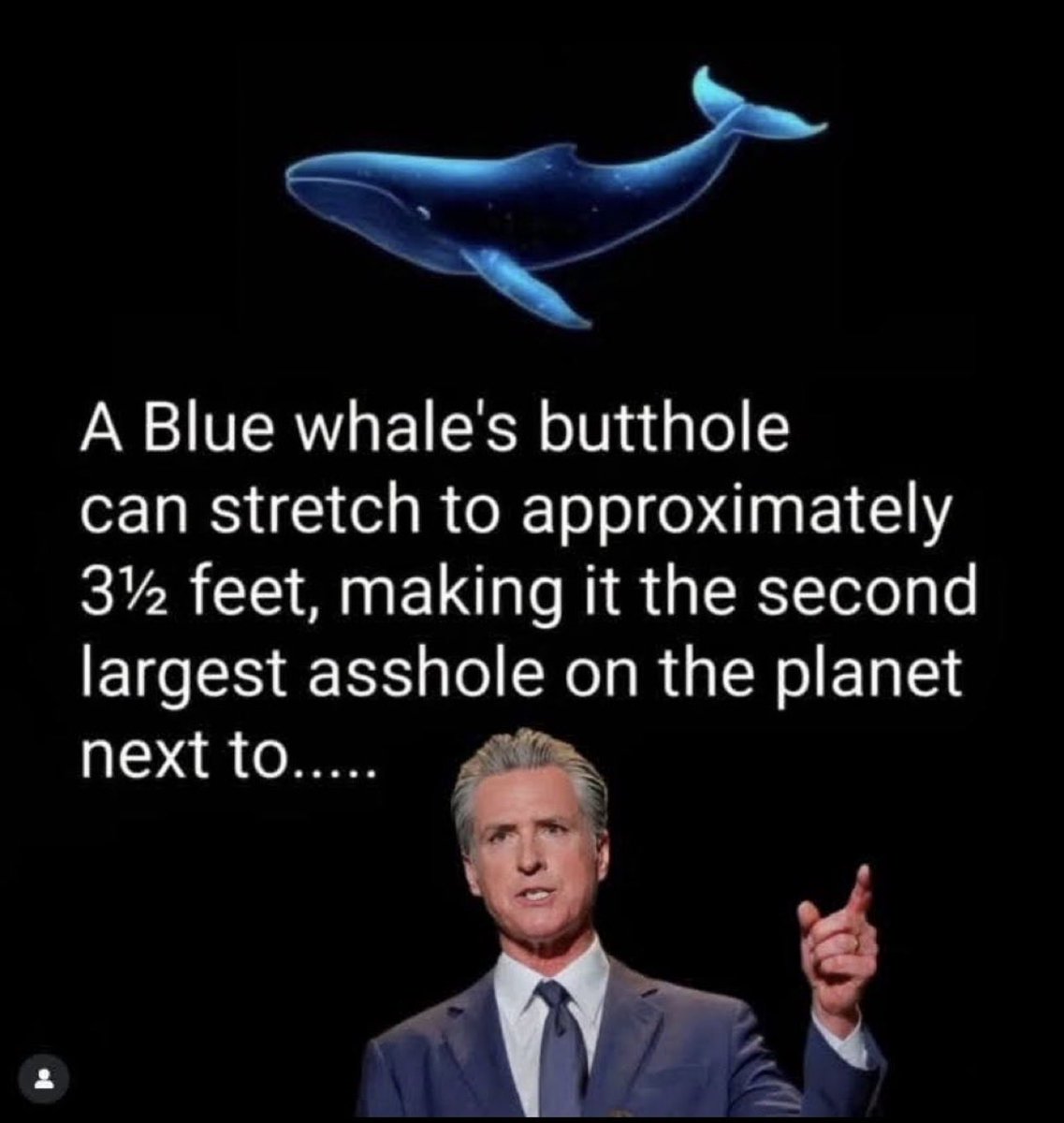 BeThePenguin tweet media