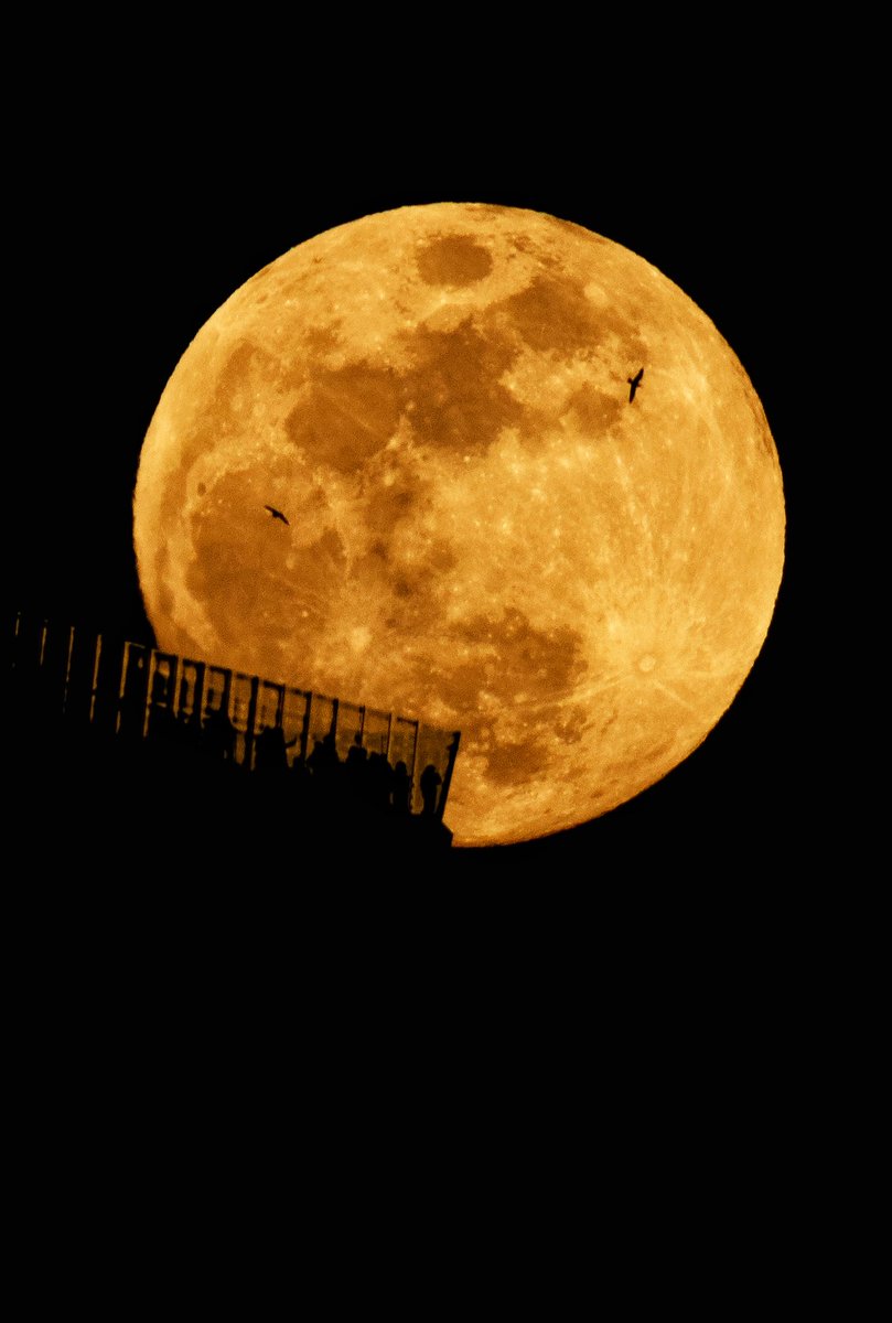 Gary Hershorn tweet media