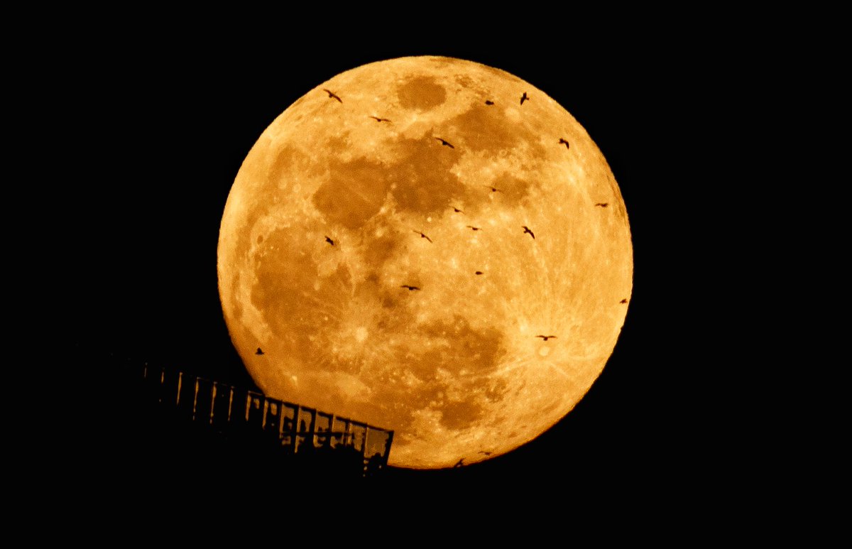 Gary Hershorn tweet media