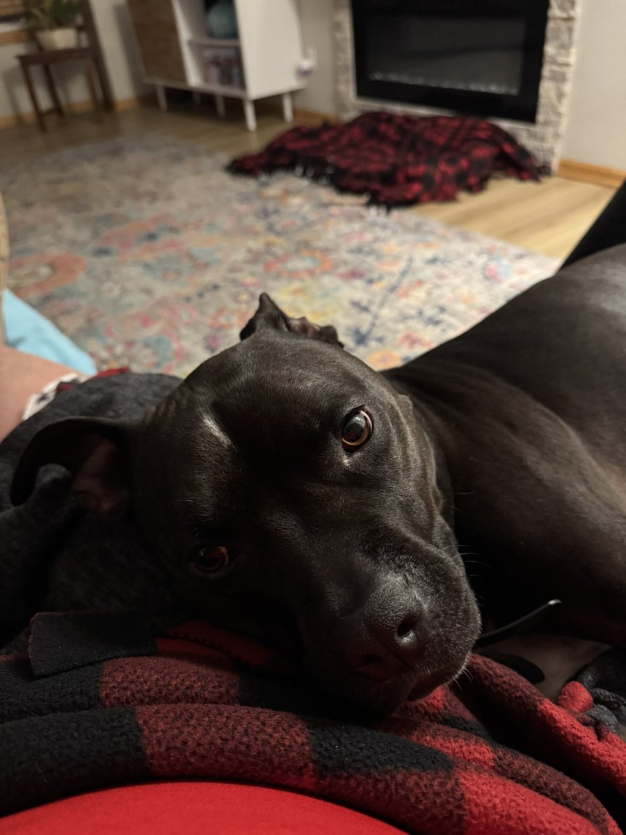 Blansette tweet media