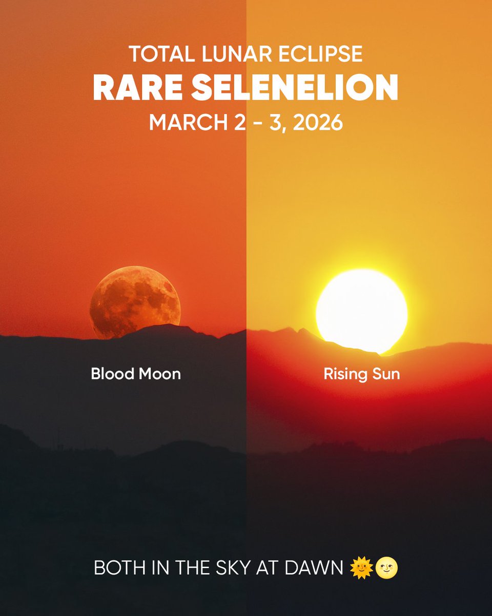 Star Walk tweet media