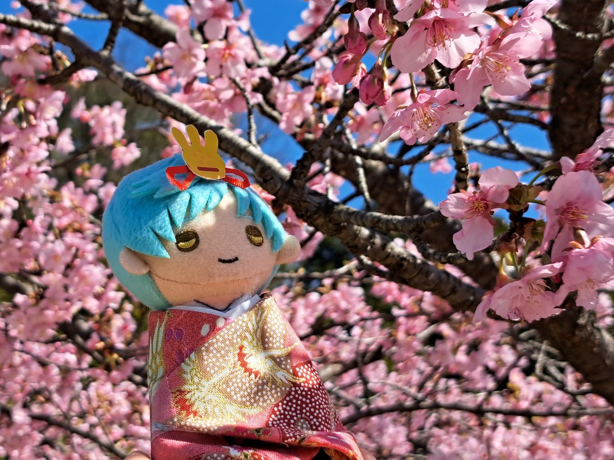 おはようございます☔ 雨だから仕事が増える😵あんなに春だったのに