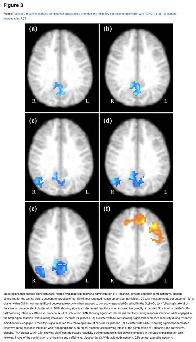Dalton (Analyze & Optimize) tweet media