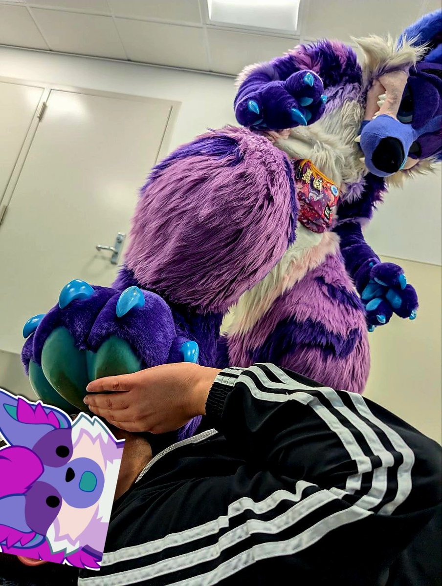 Haze the Hyena 🔜 TFF,LVFC tweet media