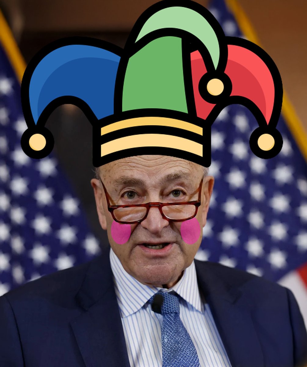 CriticalSpinctr's tweet photo. @SenSchumer  What an absolute embarrassment. https://t.co/ok76doOVbb