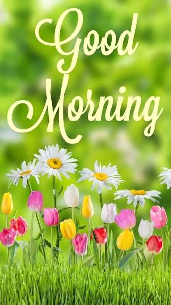 Ankit RAVD 🤗 tweet media