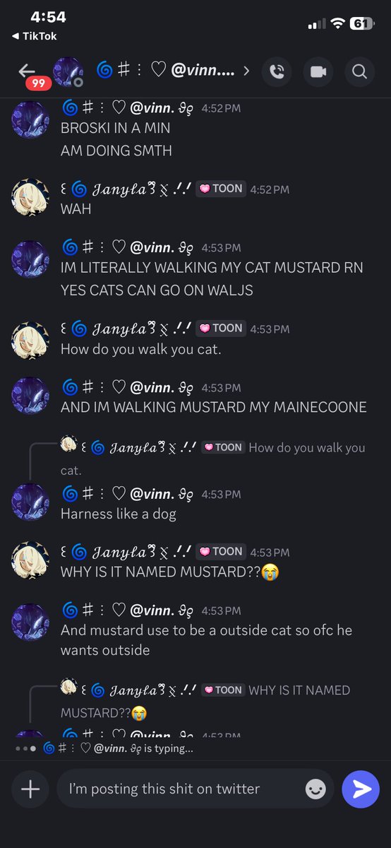 Zeokiie's tweet photo. Average conversions with me and katie_br💔 the cat looks nothing like like mustard Thats ginger @A3Dghost_BR https://t.co/T3Jwo68hBE